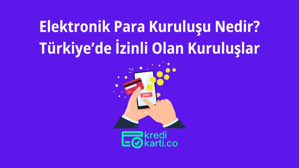 Elektronik Ödeme Para Kuruluşları